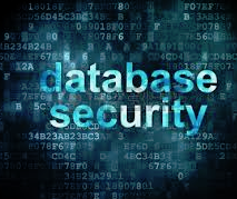 Database Security Within Your Organization